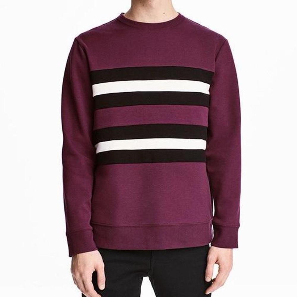 Men's Purple Striped Sweater